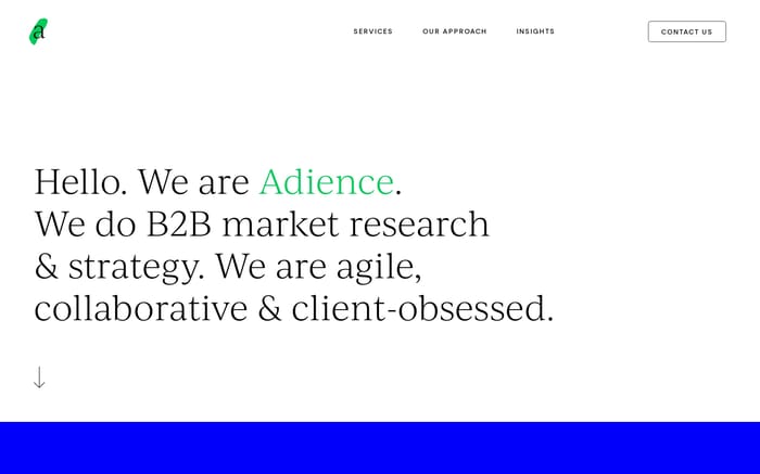 Adience website preview