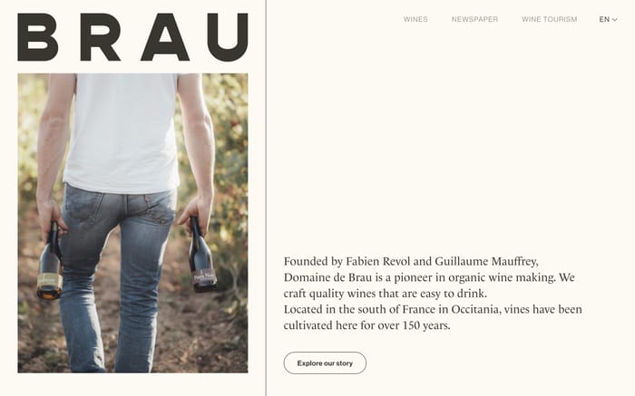 Domaine de Brau website preview
