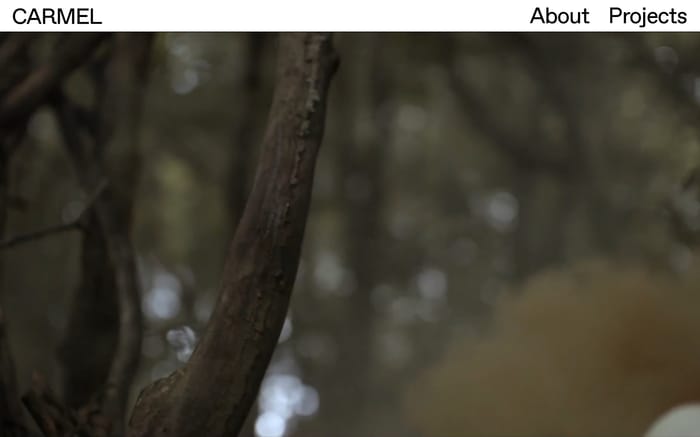 Carmel website preview