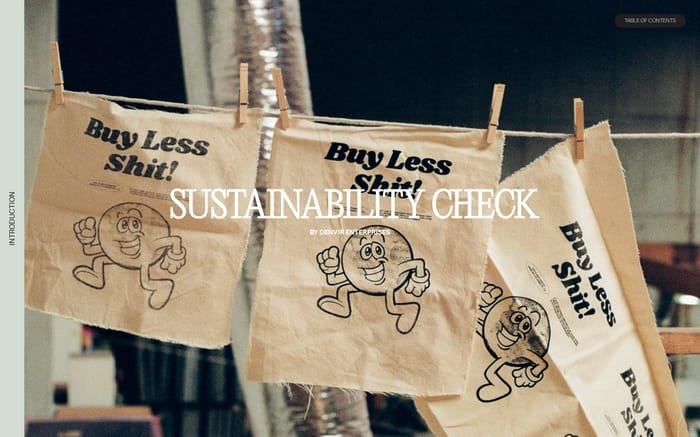Sustainability Check website preview
