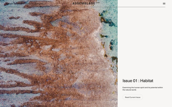 Assemblage Views website preview