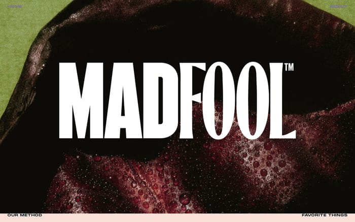 Mad Fool consulting website preview