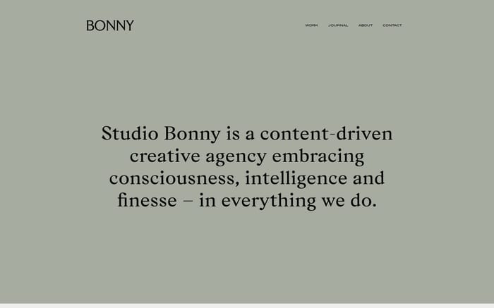 Studio Bonny website preview