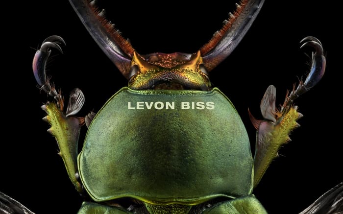 LEVON BISS website preview