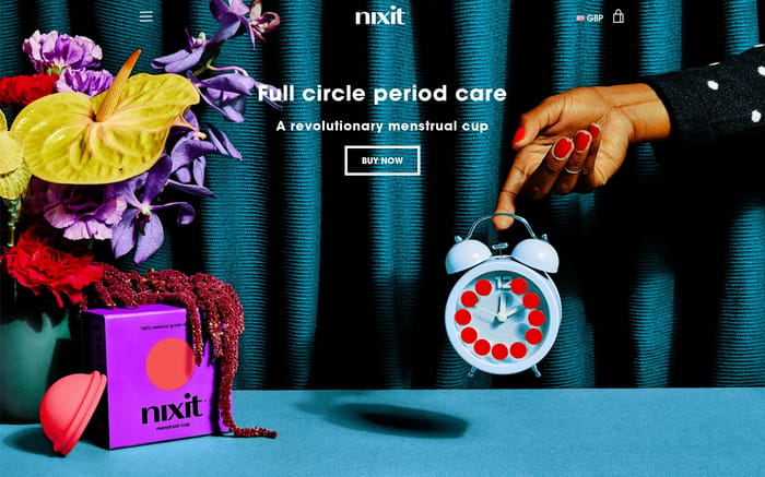 Nixit website preview
