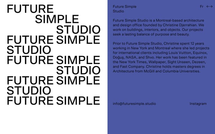 Future simple website preview