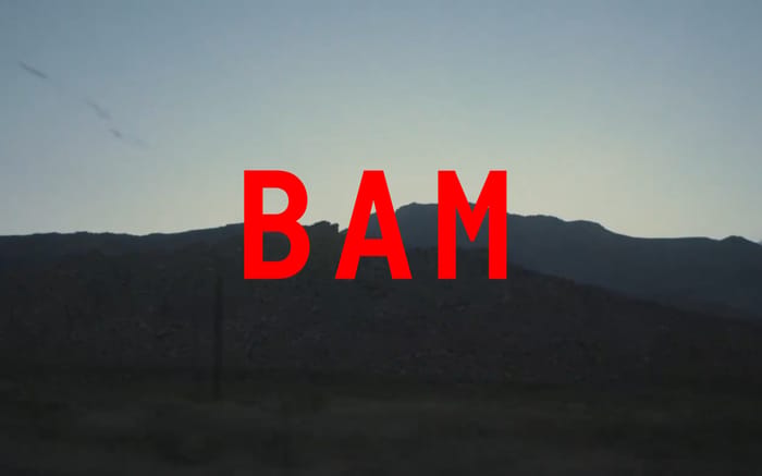 BAM website preview