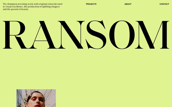 Ransom Ltd website preview