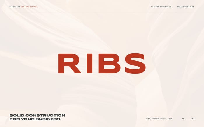 RIBS website preview