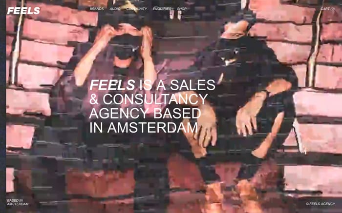 Feels agency website preview