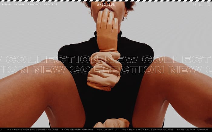 Aristide website preview