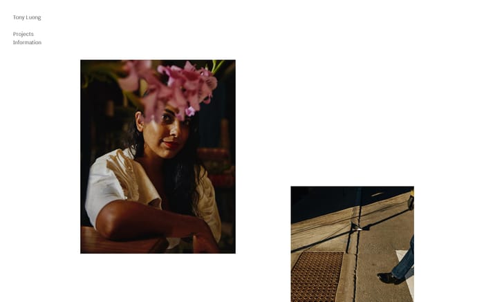 Tony Luong website preview