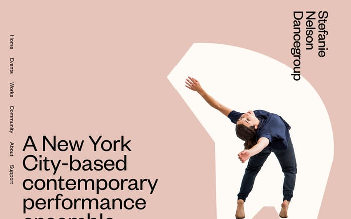 Stefanie Nelson Dancegroup website preview