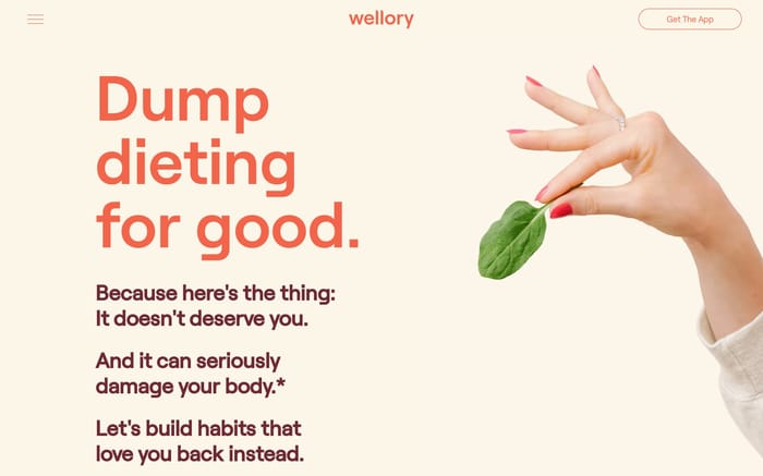 Wellory website preview