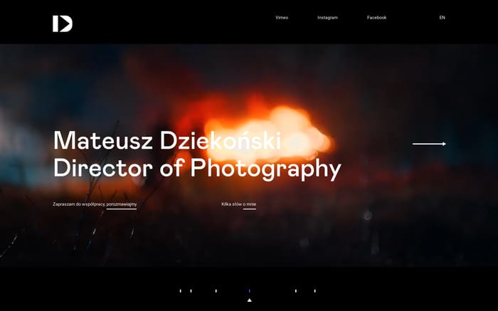 Mateusz Dziekonski website preview