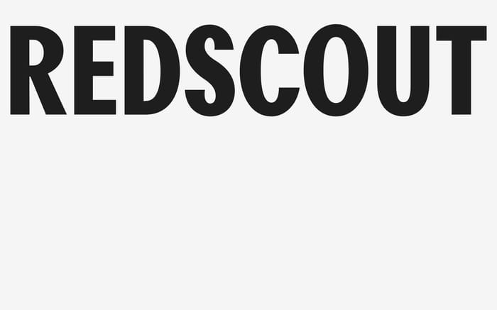 Redscout website preview