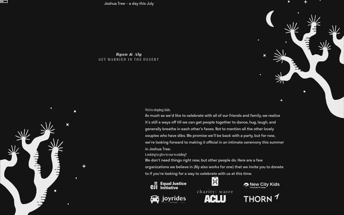 Ryan & Aly website preview