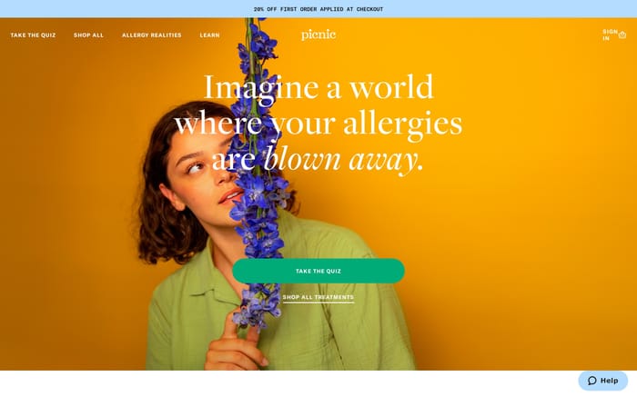 Picnic website preview