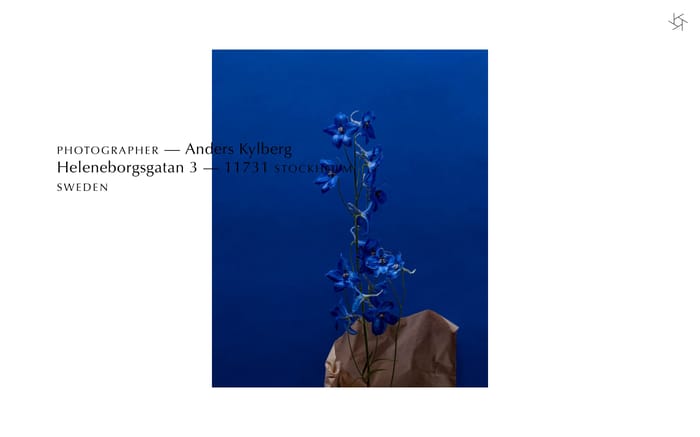 Anders Kylberg website preview