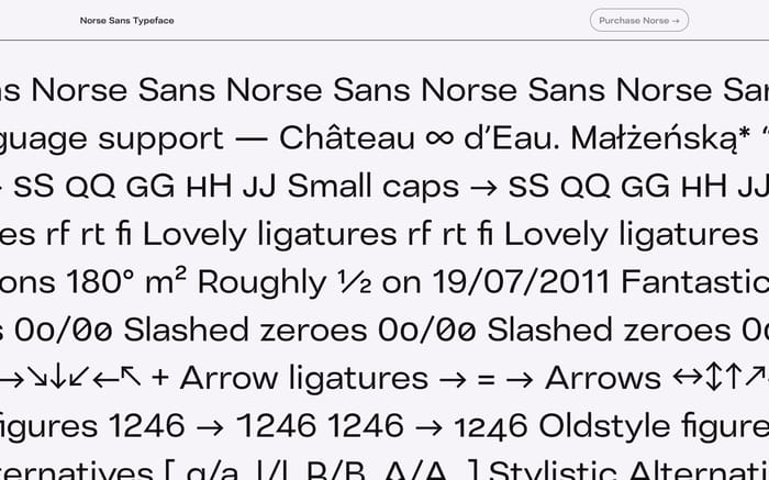 Norse Sans website preview