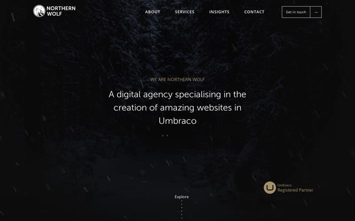 Northern Wolf website preview