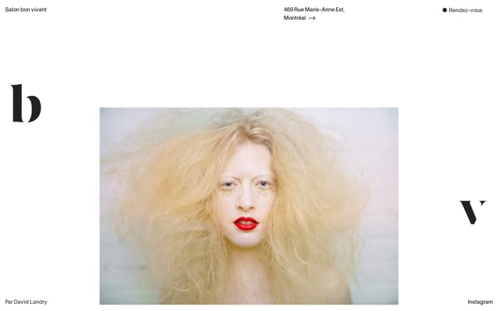 Salon Bon Vivant website preview