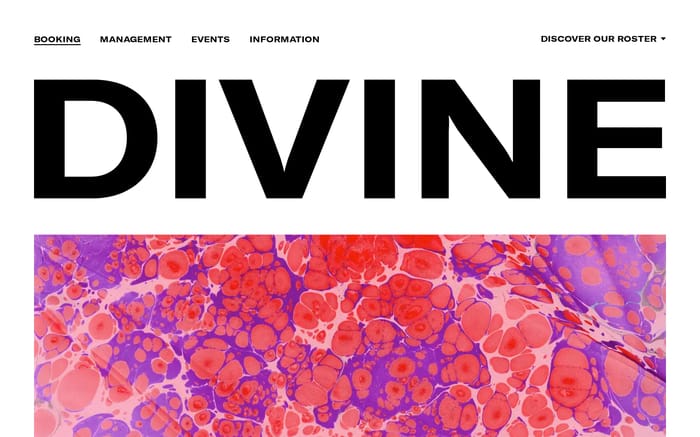 Divine website preview
