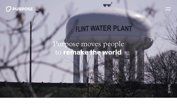 Purpose website preview
