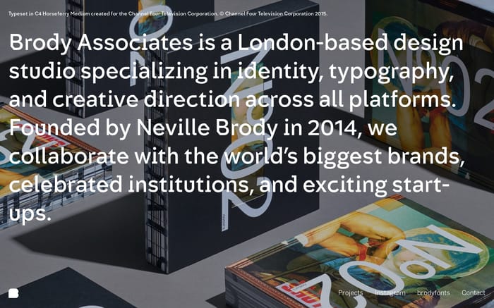 Brody Associates website preview