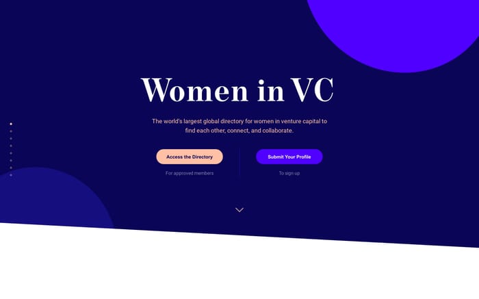  Women in VC website preview