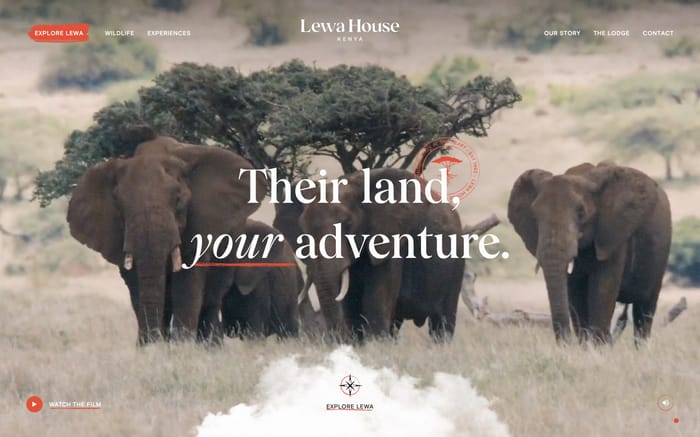 Lewa House website preview