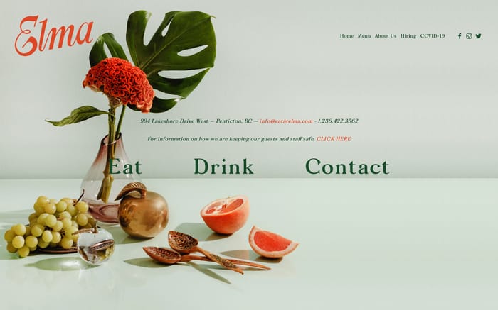 Elma website preview