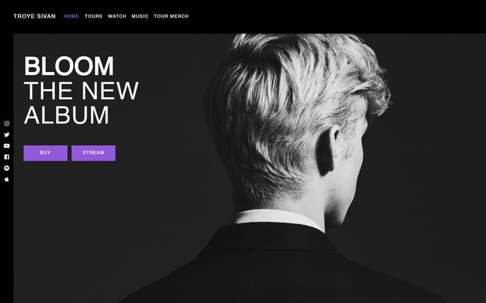 Troye Sivan website preview