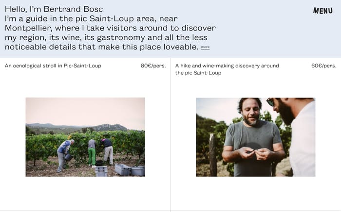 Bertrand Bosc website preview