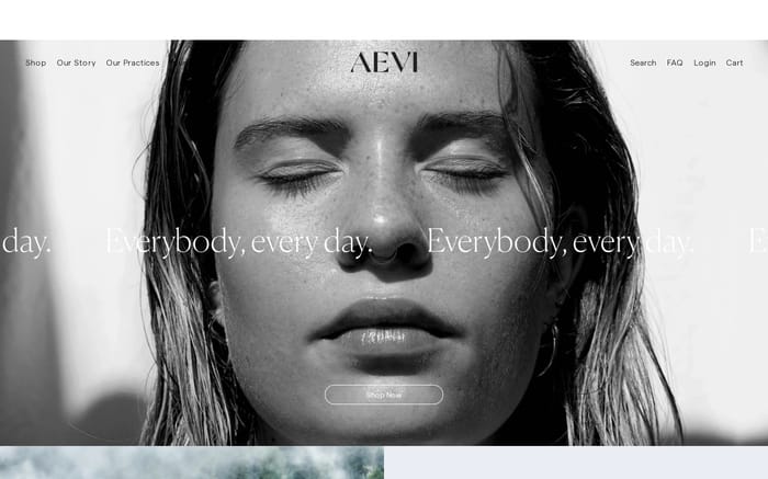 Aevi website preview