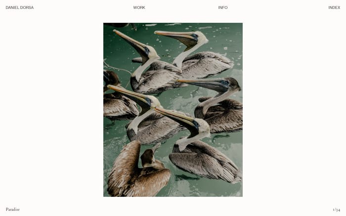 Daniel Dorsa website preview