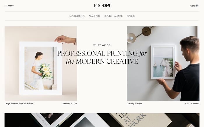 ProDPI website preview