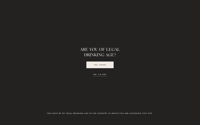 Della Vite website preview