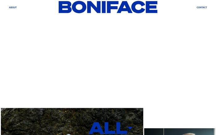 Steven Boniface website preview