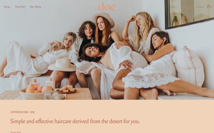 Dae Hair website preview