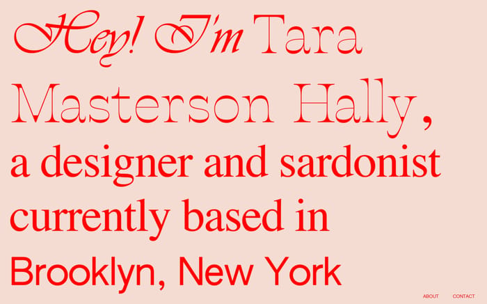 Tara Masterson Hally website preview