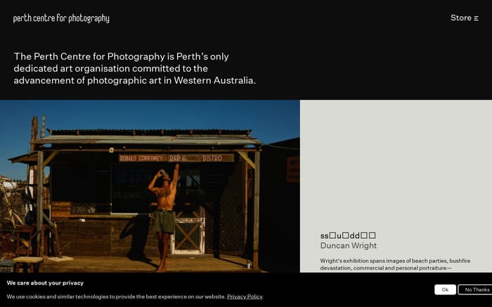 Perth centre for photography website preview