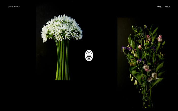 Anneli Wikman website preview