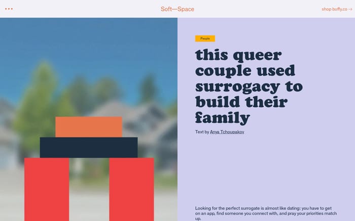 Soft—Space website preview