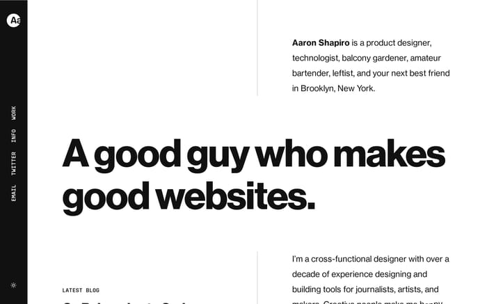 Aaron Shapiro website preview