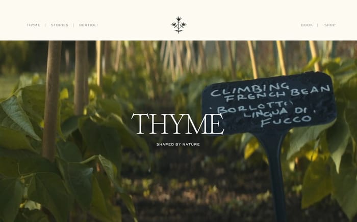 Thyme website preview