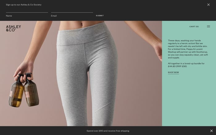 Ashley & Co website preview