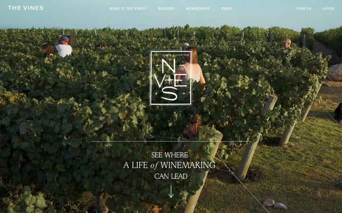 The vines website preview