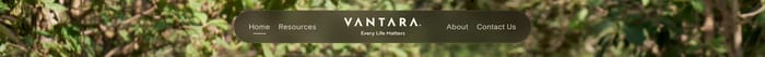 Vantara section preview