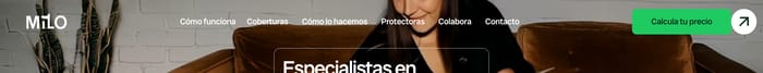 Header preview